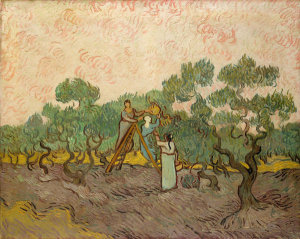 Vincent van Gogh - Women Picking Olives