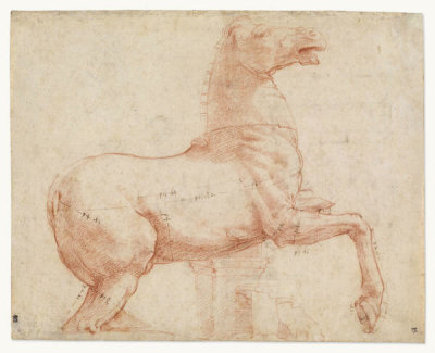 Raphael - Study of a Marble Horse on the Quirinal Hill